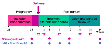 POPARTMUS schedule