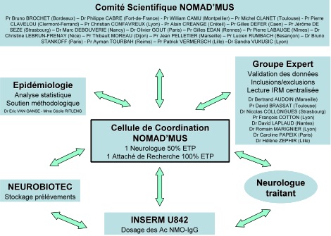 Organigramme